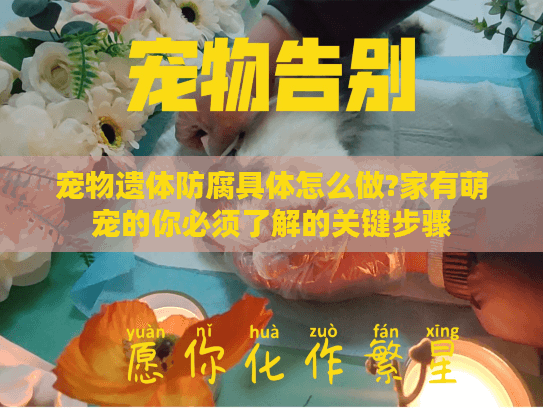 宠物遗体防腐具体怎么做?家有萌宠的你必须了解的关键步骤