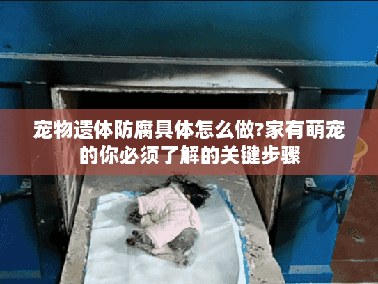 宠物遗体防腐具体怎么做?家有萌宠的你必须了解的关键步骤