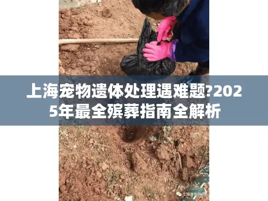 上海宠物遗体处理遇难题?2025年最全殡葬指南全解析