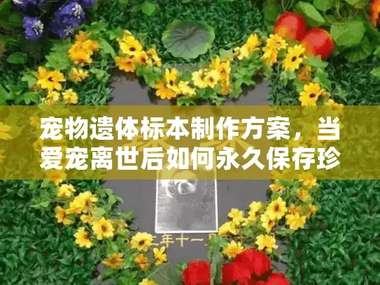 宠物遗体标本制作方案，当爱宠离世后如何永久保存珍贵回忆？