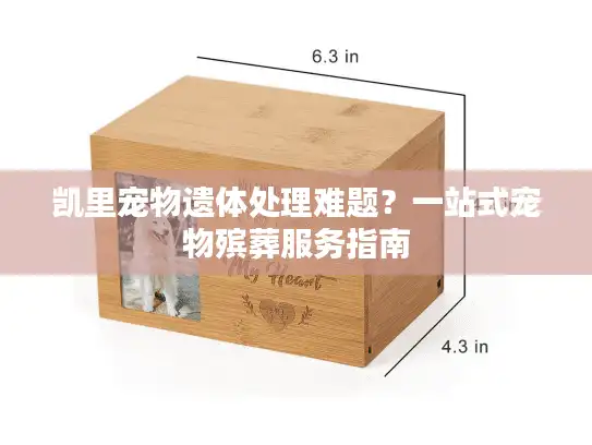 凯里宠物遗体处理难题？一站式宠物殡葬服务指南