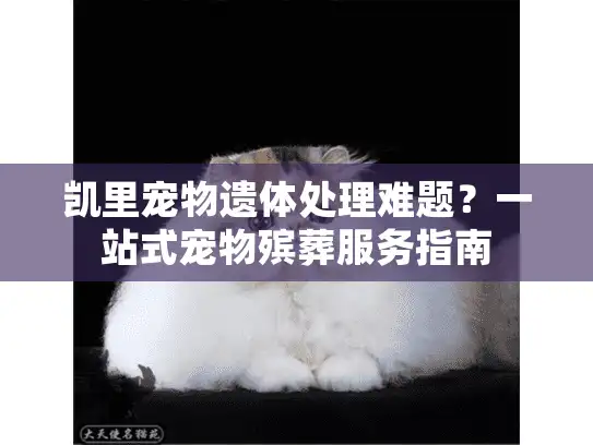 凯里宠物遗体处理难题？一站式宠物殡葬服务指南