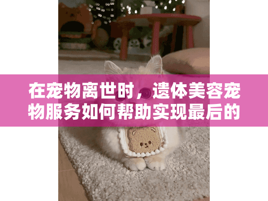 在宠物离世时，遗体美容宠物服务如何帮助实现最后的体面告别？