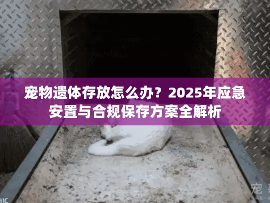 宠物遗体存放怎么办?2025年应急安置与合规保存方案全解析 宠物遗体存放怎么办?2025年应急安置与合规保存方案全解析