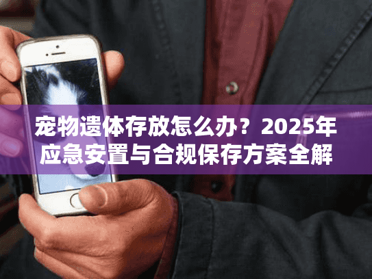 宠物遗体存放怎么办?2025年应急安置与合规保存方案全解析 宠物遗体存放怎么办?2025年应急安置与合规保存方案全解析