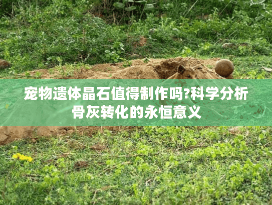 宠物遗体晶石值得制作吗?科学分析骨灰转化的永恒意义 宠物遗体晶石值得制作吗?科学分析骨灰转化的永恒意义