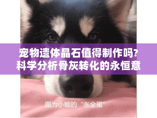 宠物遗体晶石值得制作吗?科学分析骨灰转化的永恒意义 宠物遗体晶石值得制作吗?科学分析骨灰转化的永恒意义