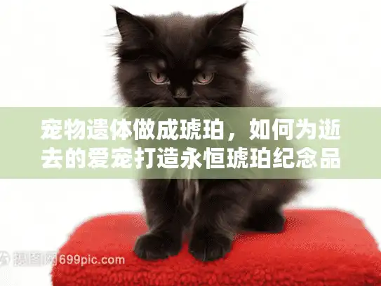 宠物遗体做成琥珀,如何为逝去的爱宠打造永恒琥珀纪念品? 宠物遗体做成琥珀,如何为逝去的爱宠打造永恒琥珀纪念品?