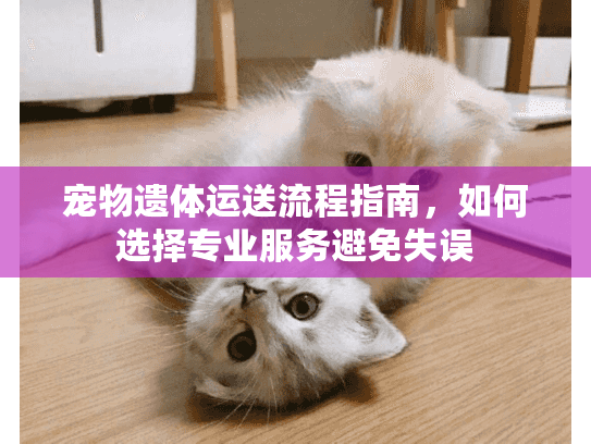 宠物遗体运送流程指南，如何选择专业服务避免失误