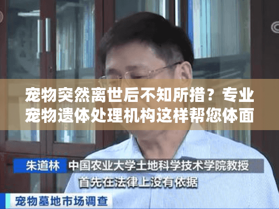 宠物突然离世后不知所措？专业宠物遗体处理机构这样帮您体面告别