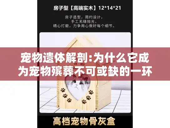 宠物遗体解剖:为什么它成为宠物殡葬不可或缺的一环?