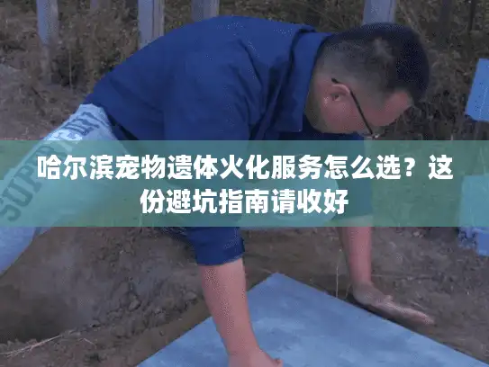 哈尔滨宠物遗体火化服务怎么选?这份避坑指南请收好 哈尔滨宠物遗体火化服务怎么选?这份避坑指南请收好