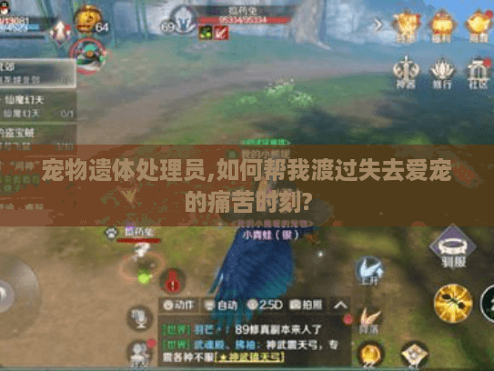 宠物遗体处理员,如何帮我渡过失去爱宠的痛苦时刻? 宠物遗体处理员,如何帮我渡过失去爱宠的痛苦时刻?