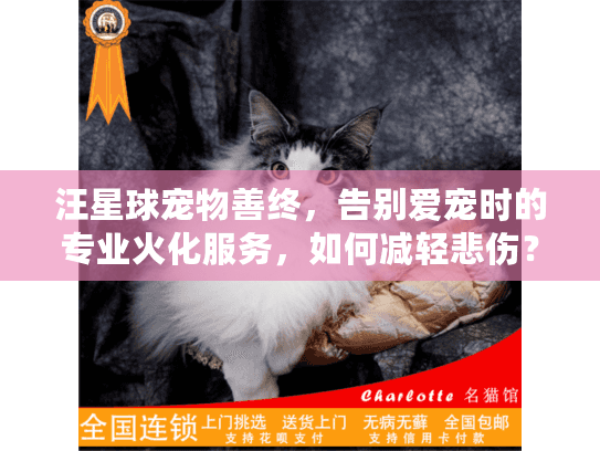 汪星球宠物善终，告别爱宠时的专业火化服务，如何减轻悲伤？
