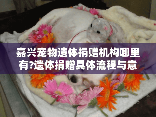 嘉兴宠物遗体捐赠机构哪里有?遗体捐赠具体流程与意义