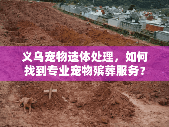 义乌宠物遗体处理，如何找到专业宠物殡葬服务？