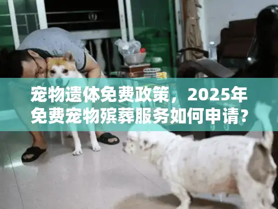 宠物遗体免费政策,2025年免费宠物殡葬服务如何申请? 宠物遗体免费政策,2025年免费宠物殡葬服务如何申请?
