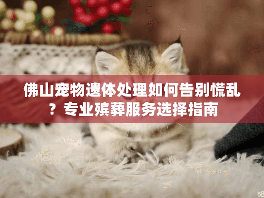 佛山宠物遗体处理如何告别慌乱?专业殡葬服务选择指南 佛山宠物遗体处理如何告别慌乱?专业殡葬服务选择指南