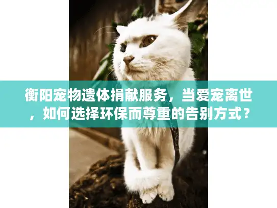 衡阳宠物遗体捐献服务，当爱宠离世，如何选择环保而尊重的告别方式？