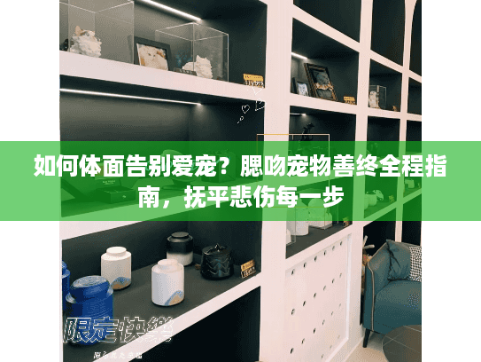 如何体面告别爱宠？腮吻宠物善终全程指南，抚平悲伤每一步