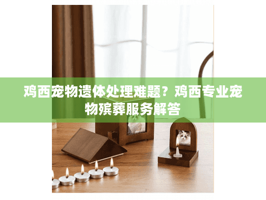 鸡西宠物遗体处理难题？鸡西专业宠物殡葬服务解答