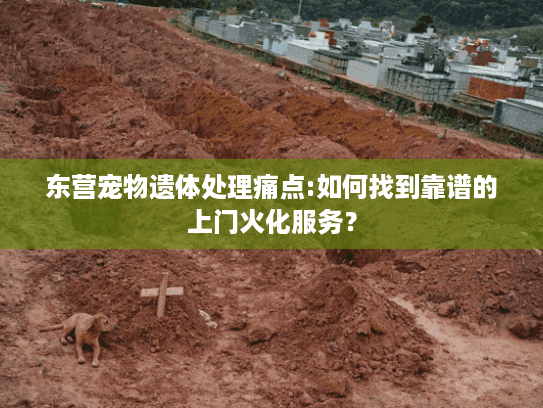东营宠物遗体处理痛点:如何找到靠谱的上门火化服务？