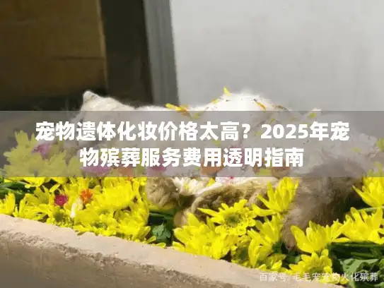 宠物遗体化妆价格太高？2025年宠物殡葬服务费用透明指南
