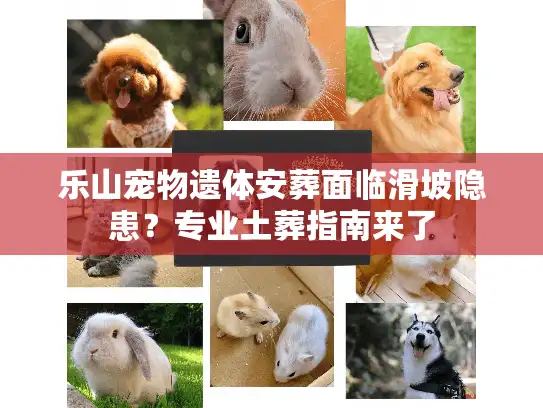 乐山宠物遗体安葬面临滑坡隐患？专业土葬指南来了