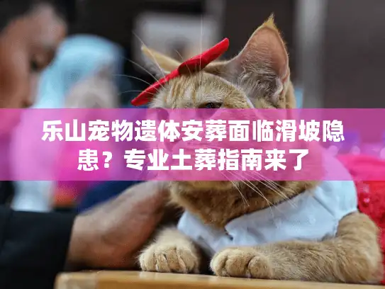 乐山宠物遗体安葬面临滑坡隐患？专业土葬指南来了