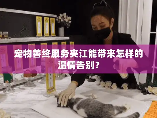 宠物善终服务夹江能带来怎样的温情告别？