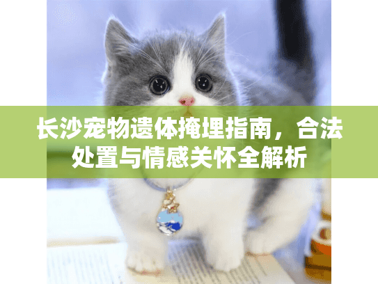 长沙宠物遗体掩埋指南，合法处置与情感关怀全解析