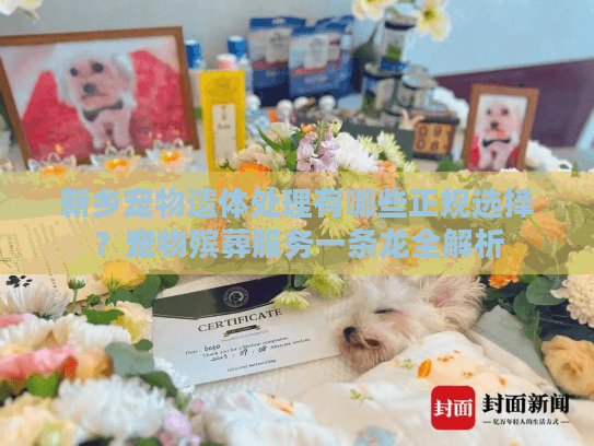 新乡宠物遗体处理有哪些正规选择?宠物殡葬服务一条龙全解析 新乡宠物遗体处理有哪些正规选择?宠物殡葬服务一条龙全解析
