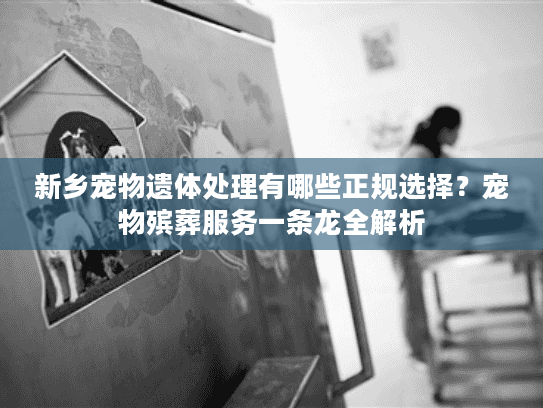 新乡宠物遗体处理有哪些正规选择?宠物殡葬服务一条龙全解析 新乡宠物遗体处理有哪些正规选择?宠物殡葬服务一条龙全解析