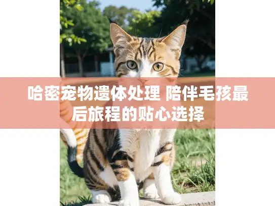 哈密宠物遗体处理 陪伴毛孩最后旅程的贴心选择 哈密宠物遗体处理 陪伴毛孩最后旅程的贴心选择