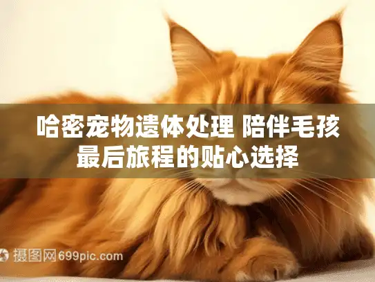 哈密宠物遗体处理 陪伴毛孩最后旅程的贴心选择 哈密宠物遗体处理 陪伴毛孩最后旅程的贴心选择