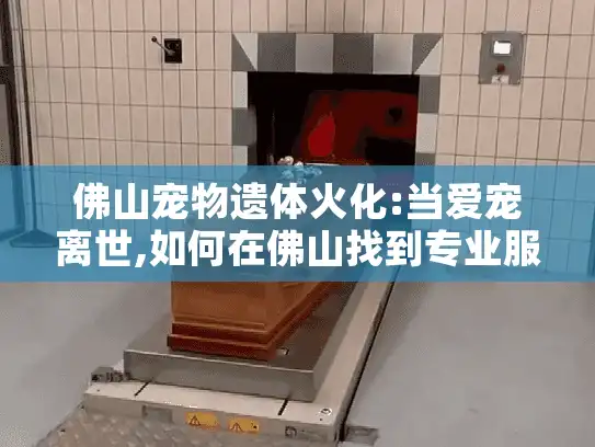 佛山宠物遗体火化:当爱宠离世,如何在佛山找到专业服务? 佛山宠物遗体火化:当爱宠离世,如何在佛山找到专业服务?
