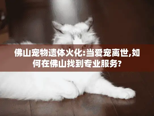 佛山宠物遗体火化:当爱宠离世,如何在佛山找到专业服务? 佛山宠物遗体火化:当爱宠离世,如何在佛山找到专业服务?