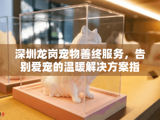 深圳龙岗宠物善终服务，告别爱宠的温暖解决方案指南
