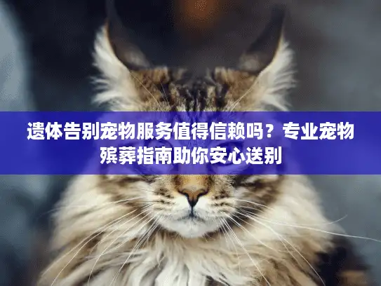 遗体告别宠物服务值得信赖吗？专业宠物殡葬指南助你安心送别