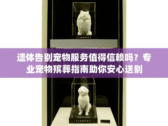 遗体告别宠物服务值得信赖吗？专业宠物殡葬指南助你安心送别