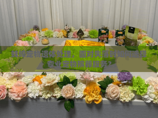 蚌埠宠物遗体处理，面对失落时如何选择专业宠物殡葬服务？