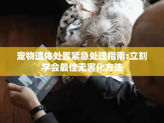 宠物遗体处置紧急处理指南:立刻学会最佳无害化方法