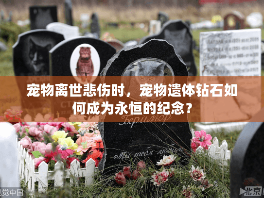 宠物离世悲伤时，宠物遗体钻石如何成为永恒的纪念？