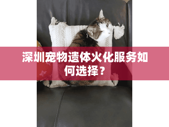 深圳宠物遗体火化服务如何选择？