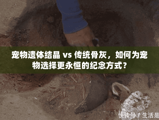 宠物遗体结晶 vs 传统骨灰，如何为宠物选择更永恒的纪念方式？