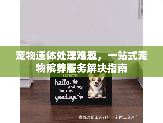 宠物遗体处理难题,一站式宠物殡葬服务解决指南 宠物遗体处理难题,一站式宠物殡葬服务解决指南