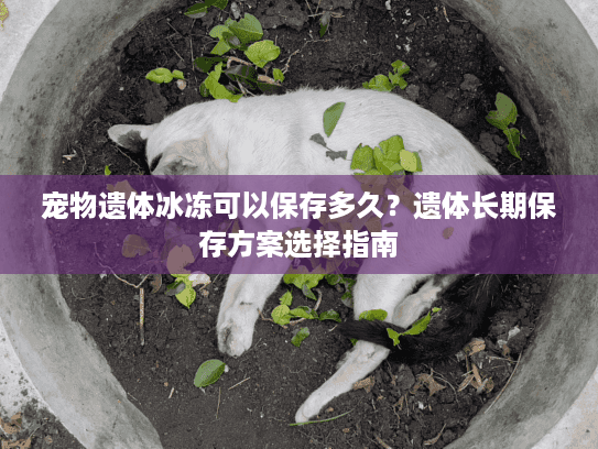 宠物遗体冰冻可以保存多久?遗体长期保存方案选择指南 宠物遗体冰冻可以保存多久?遗体长期保存方案选择指南