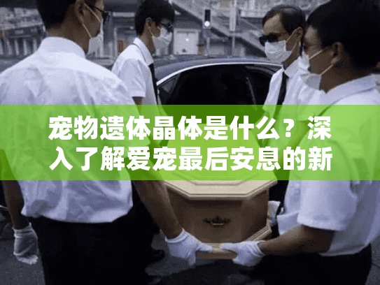 宠物遗体晶体是什么？深入了解爱宠最后安息的新选择