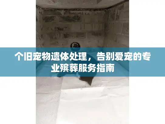 个旧宠物遗体处理,告别爱宠的专业殡葬服务指南 个旧宠物遗体处理,告别爱宠的专业殡葬服务指南