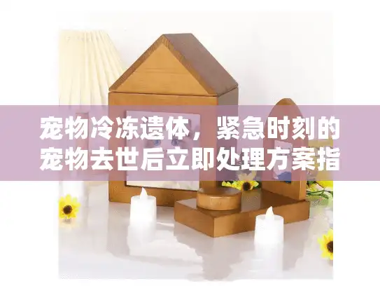宠物冷冻遗体，紧急时刻的宠物去世后立即处理方案指南
